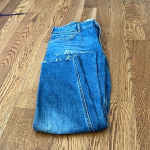 Everlane Curvy Cheeky Jean